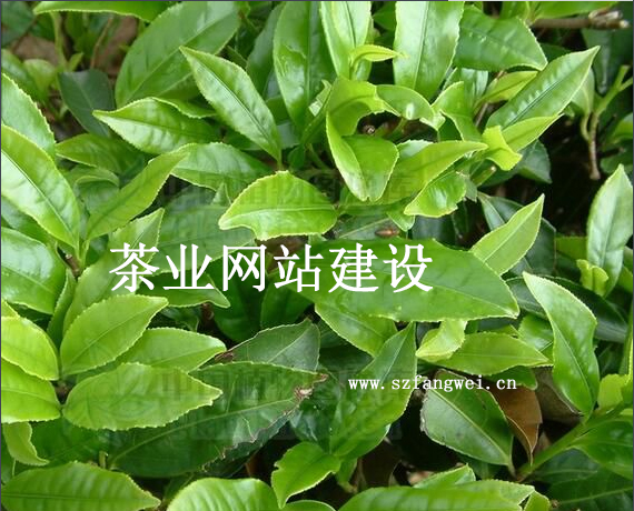 茶業(yè)網(wǎng)站建設(shè)